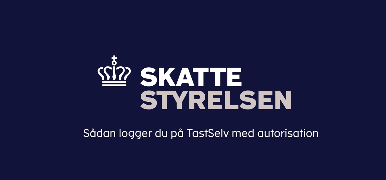 Skærmbillede, Sådan logger du på TastSelv med autorisation